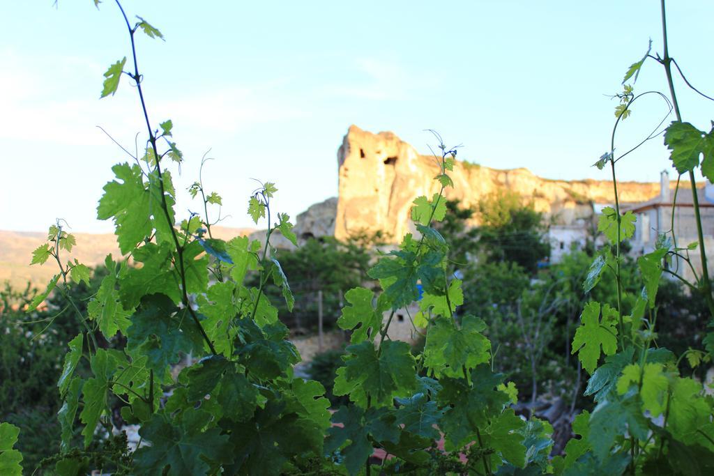 Elif Stone House Hotell Urgup Eksteriør bilde